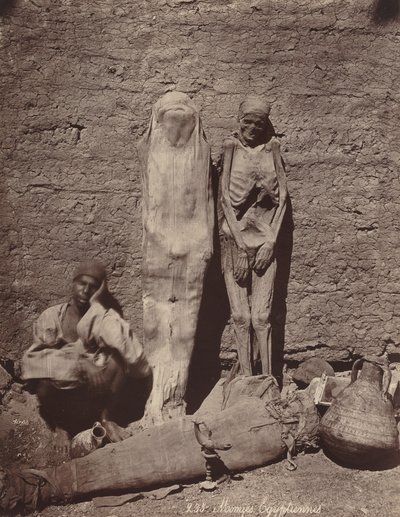 Momies Egyptiennes埃及木乃伊，约1870年。 作者 菲利克斯邦菲尔斯