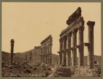 Part of the Great Colonnade, Qalaat Ibn Maan Castle in the distance, Palmyra, c.1875 (albumen print) 作者 菲利克斯邦菲尔斯