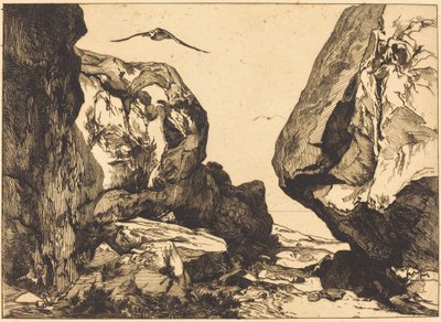 岩石中的峡谷 (Gorge dans les rochers) 作者 朱尔斯·劳伦斯之后的菲利克斯·布拉克蒙德