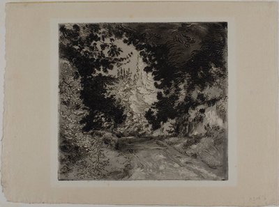 塞夫勒的库图尔大街（Chemin de Coutures 作者 费利克斯·亨利·布拉克蒙