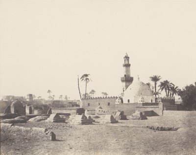 苏阿吉，穆斯林墓地和穆拉德-贝的坟墓，1851-52年，1853-54年印刷。 作者 费利克斯·泰纳德