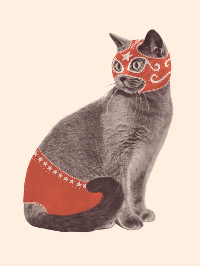 Cat Wrestler 作者 弗洛伦德·博达特