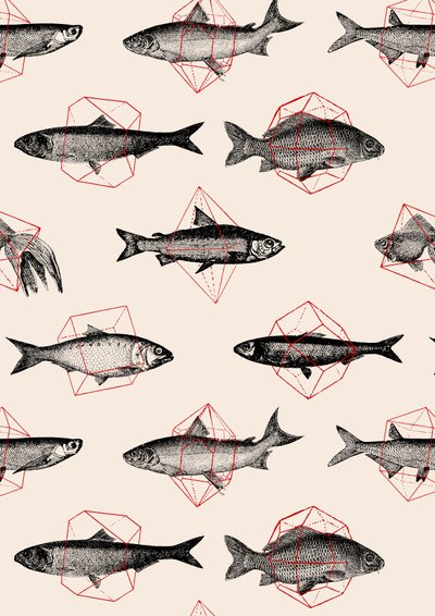 Fishes in Geometrics 作者 弗洛伦德·博达特
