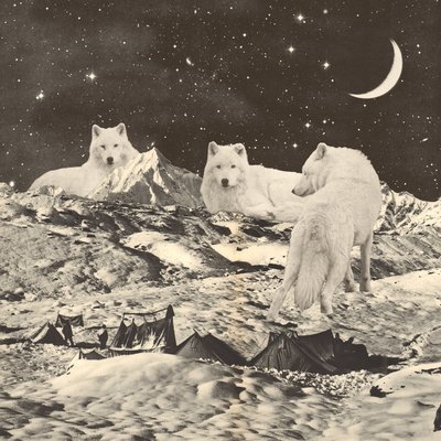 Three Giant White Wolves on Mountains 作者 弗洛伦德·博达特
