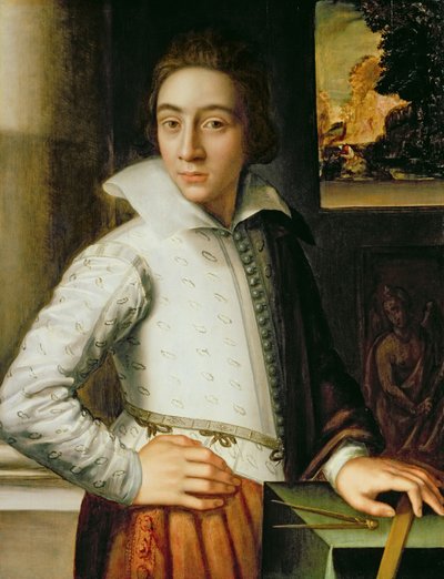 一个年轻人的肖像，十六世纪中叶（橡木板上的油） 作者 Florentine School