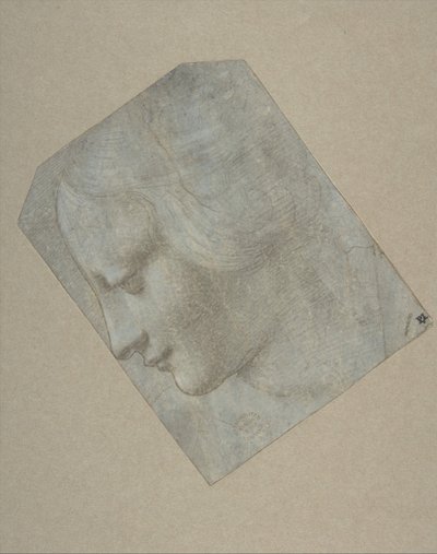 一个女人的头像，正面朝左，1490-1500年。 作者 列奥纳多·达·芬奇的追随者。