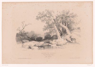 与水和两只鹿的岩石景观 研究风景、动物和细节的绘画课程（系列名称） 设计课程。 风景画、人物、动画、配件、par Férogio（物品上的系列标题） 作者 弗朗索瓦·德拉鲁