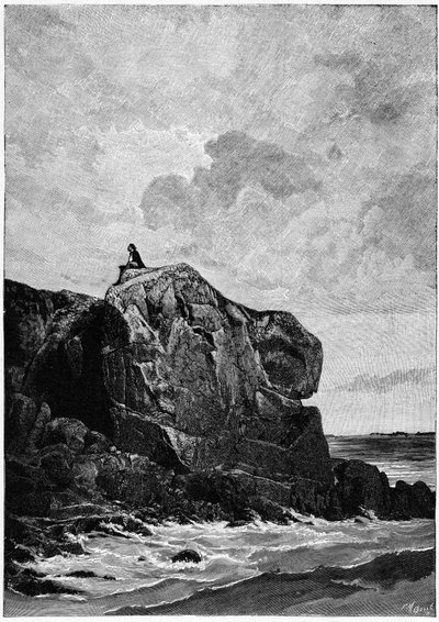 维克多-雨果，1855 年流亡泽西岛，普罗斯克里特岩石上。路易斯-富特-梅奥勒（1844-1901 年）的雕刻作品，雨果曾这样说过："我想，我的坟墓"。 作者 路易斯·莫厄尔财富