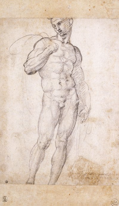 一个裸露的披着披肩的披肩， 作者 Fra Bartolomeo