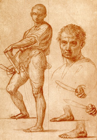 研究圣巴塞洛缪 作者 Fra Bartolomeo