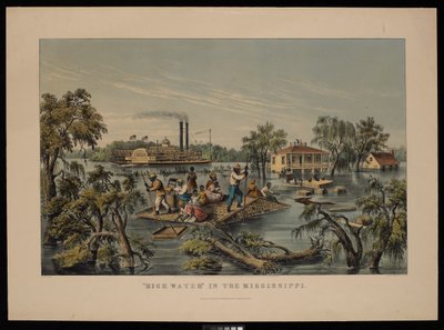 密西西比河涨水 作者 弗朗西斯·弗洛拉·邦德（Frances Flora Bond）（c.1812-76）帕尔默（Palmer）