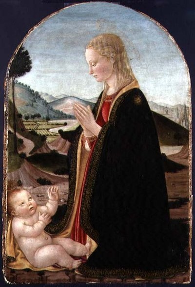 Virgin Adoring the Child（面板上带金色的蛋彩画） 作者 弗朗切斯科·波蒂奇尼（Francesco Botticini）