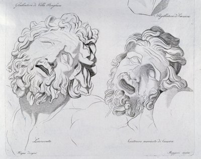 卡诺瓦创作的拉奥孔和半人马的头像。 作者 Francesco Hayez