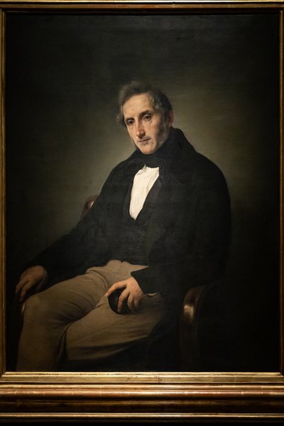 亚历山德罗-曼佐尼肖像 作者 弗朗切斯科·海耶兹（Francesco Hayez）