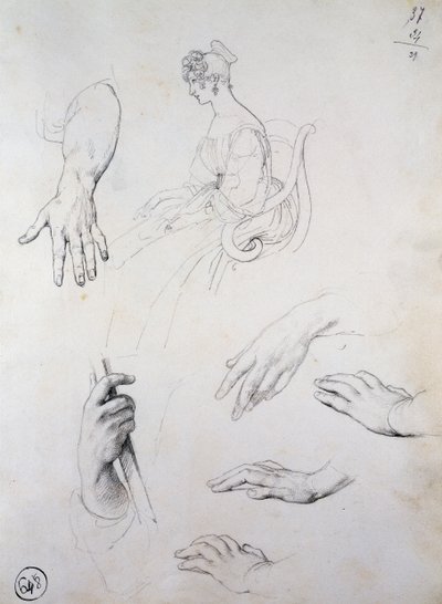 Cristina Trivulzio Belgiojoso的肖像研究 作者 弗朗切斯科·海耶兹（Francesco Hayez）