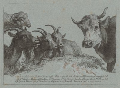 头部的研究：三只山羊、一头牛和一只公羊，约1783年出版。 作者 弗朗切斯科·伦敦尼奥（Francesco Londonio）