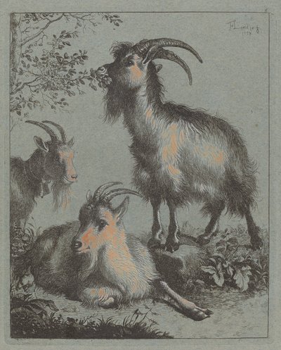 三只羊，1758年。 作者 弗朗切斯科·伦敦尼奥（Francesco Londonio）
