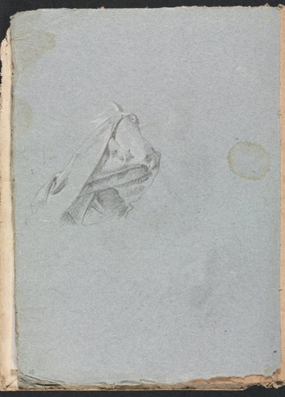 维罗纳素描本：布研究第1760页，第10页。 作者 弗朗切斯科·洛伦兹（Francesco Lorenzi）