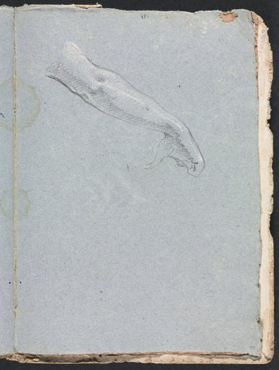 维罗纳素描本：右手和右手第95页，1760年。 作者 弗朗切斯科·洛伦兹（Francesco Lorenzi）