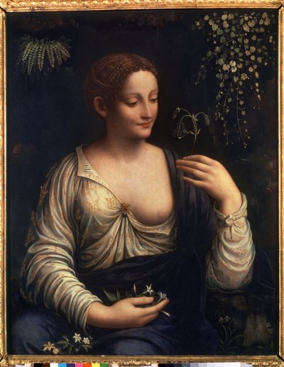 "弗朗切斯科-梅尔齐（Francesco Melzi，1493-1570 年）的画作 1510-1515 年 尺寸：76x63 厘米 圣彼得堡冬宫博物馆 作者 弗朗切斯科梅尔齐或梅尔佐