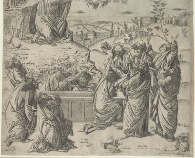 圣母升天c。 1495。 作者 弗朗切斯科·罗塞利（Francesco Rosselli）