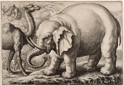 大象和骆驼，由Wenceslaus Hollar（1607-77）1663年雕刻 作者 弗朗西斯·巴洛