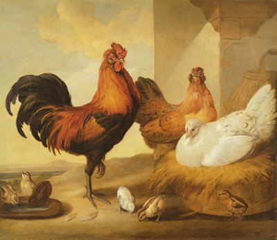 国内公鸡，母鸡和小鸡，1655年 作者 弗朗西斯·巴洛