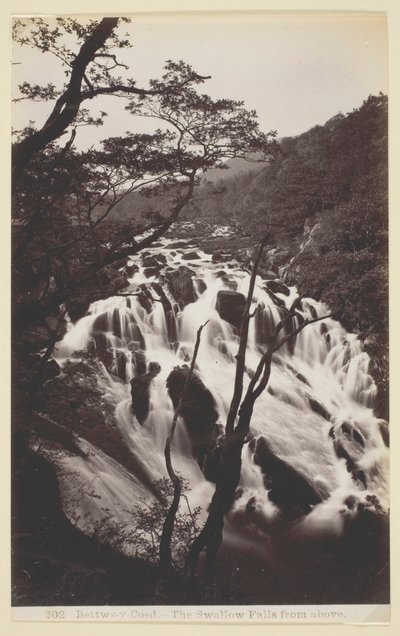 Bettw-s-y Coed，燕子从天而降 作者 弗朗西斯·贝德福德