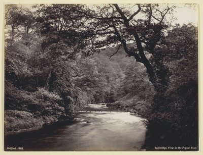 常春藤桥，普里索尔河上的风景，186094。 作者 弗朗西斯·贝德福德