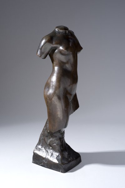 Torso 作者 弗朗西斯·德温特·伍德