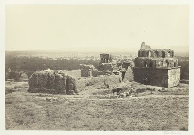 大马士革的远景，1857年。 作者 弗朗西斯·弗里斯