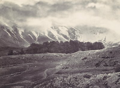 黎巴嫩雪松的远景，约1857年。 作者 弗朗西斯·弗里斯
