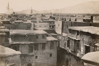 埃及、西奈半岛和巴勒斯坦。补充卷，1860年代。 作者 弗朗西斯·弗里斯