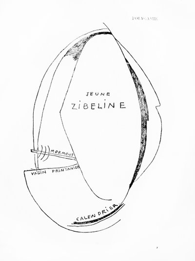 Poemes et Dessins de la Fille nee sans Mere》，第 15 期，洛桑 Reunies 出版社出版 作者 弗朗西斯·毕卡比亚