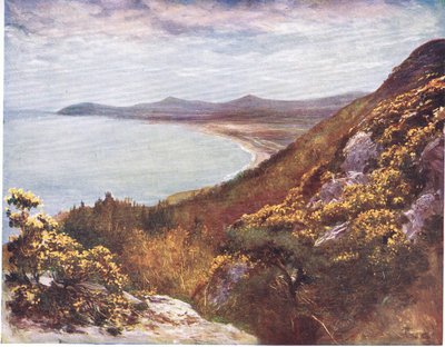 来自维多利亚山的都柏林湾，来自Peeps at Many Lands：Ireland，由Adams＆Charles于1909年出版 作者 弗朗西斯·沃克