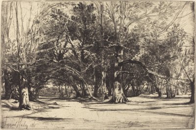 蒂珀雷里的一条小路 作者 弗朗西斯·西摩·哈登（Francis Seymour Haden）