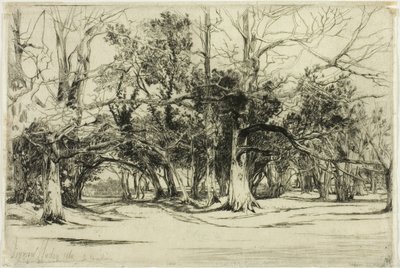蒂珀雷里的一条小路 作者 弗朗西斯·西摩·哈登（Francis Seymour Haden）