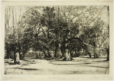 蒂珀雷里的一条小路 作者 弗朗西斯·西摩·哈登（Francis Seymour Haden）