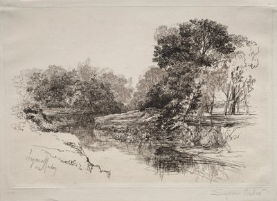 爱尔兰的一条河 作者 弗朗西斯·西摩·哈登（Francis Seymour Haden）