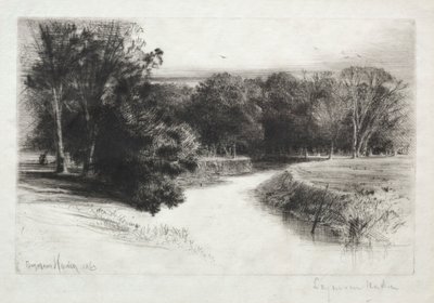 爱尔兰的日落 作者 弗朗西斯·西摩·哈登（Francis Seymour Haden）