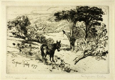查洛农场 作者 弗朗西斯·西摩·哈登（Francis Seymour Haden）