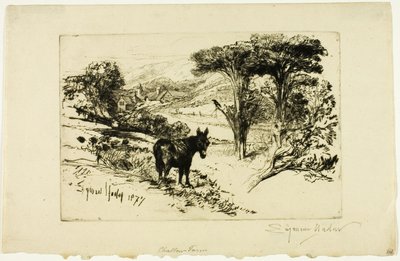 查洛农场 作者 弗朗西斯·西摩·哈登（Francis Seymour Haden）