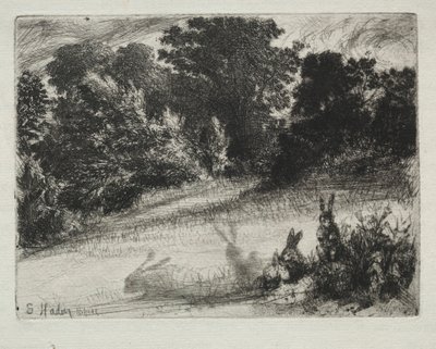 Combe Bottom 作者 弗朗西斯·西摩·哈登（Francis Seymour Haden）