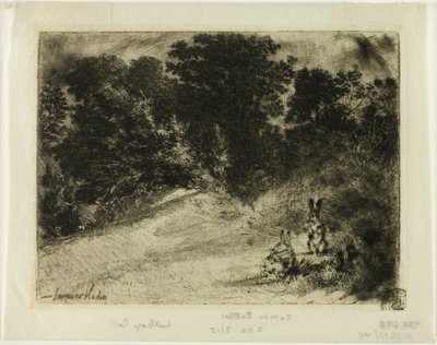 Combe Bottom 作者 弗朗西斯·西摩·哈登（Francis Seymour Haden）