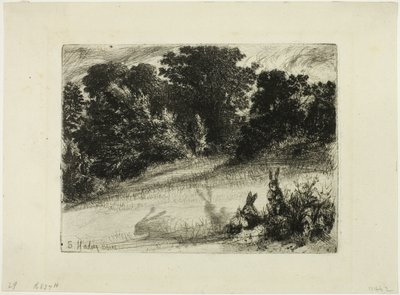 Combe Bottom 作者 弗朗西斯·西摩·哈登（Francis Seymour Haden）