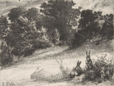 康伯伯特，1860年。 作者 弗朗西斯·西摩·哈登（Francis Seymour Haden）