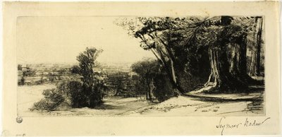 清晨，里士满公园 作者 弗朗西斯·西摩·哈登（Francis Seymour Haden）