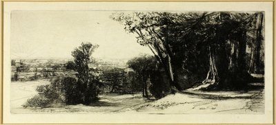 清晨，里士满公园 作者 弗朗西斯·西摩·哈登（Francis Seymour Haden）