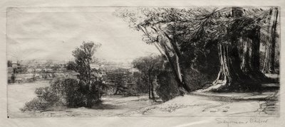 清晨，里士满公园。 作者 弗朗西斯·西摩·哈登（Francis Seymour Haden）