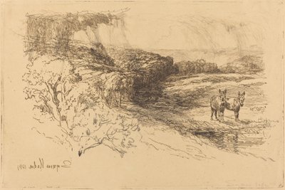 恩科姆森林（1号） 作者 弗朗西斯·西摩·哈登（Francis Seymour Haden）